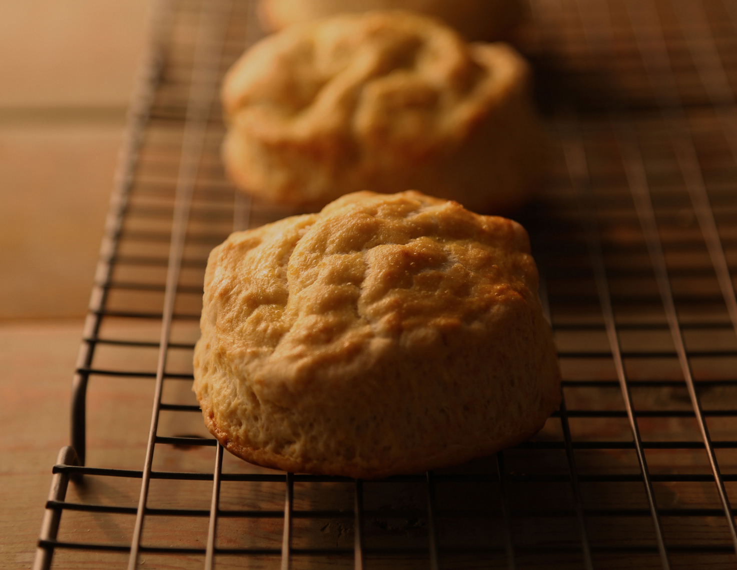 Muffins-copy